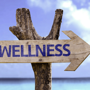 Creating Wellness